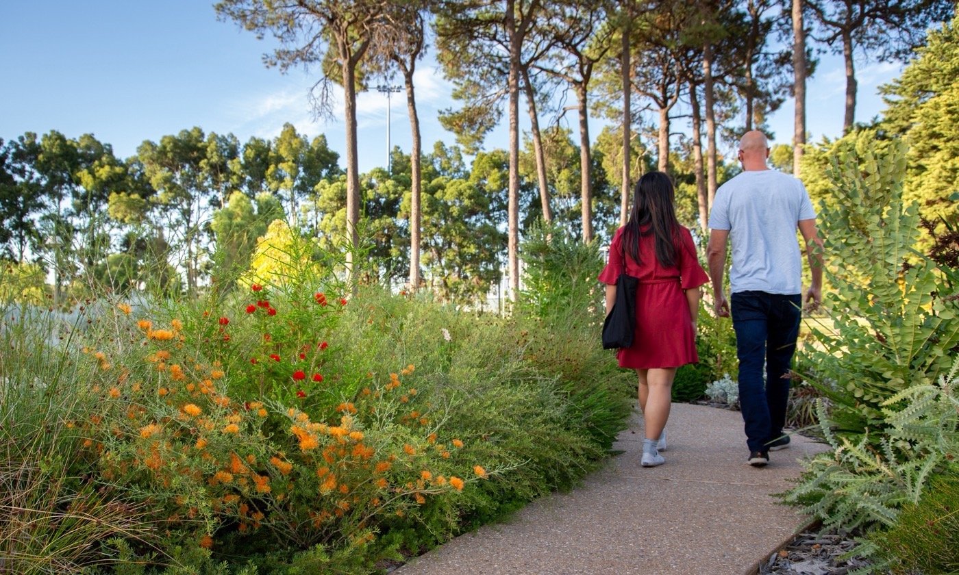 澳大利亚科廷大学土著学习圈丨澳大利亚珀斯丨科廷大学设计学院-16