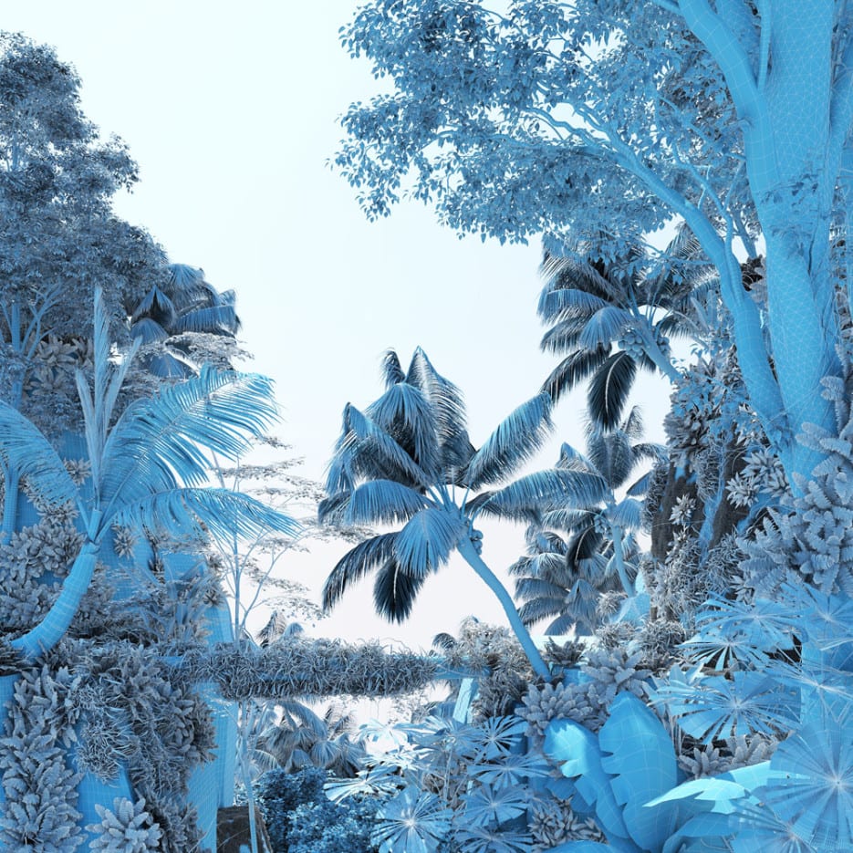 BIRDS OF PARADISE - Ando Studio-4