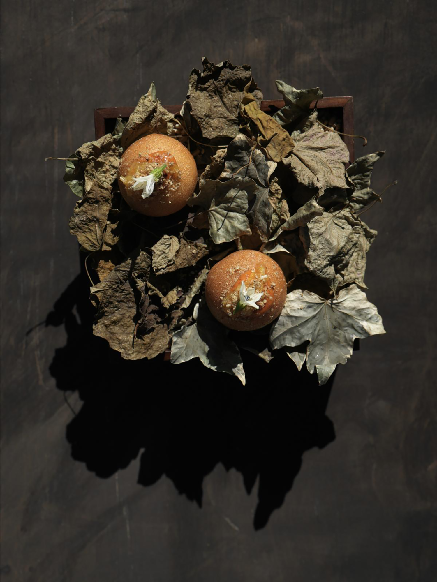 印度隐世酒店Amaya丨建筑Bijoy Jain,室内伦敦Viewport Studio-89