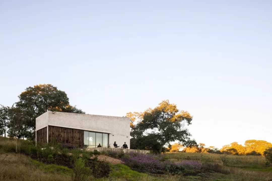 自然灵感,建筑生命——PPAA 的开放设计理念-66