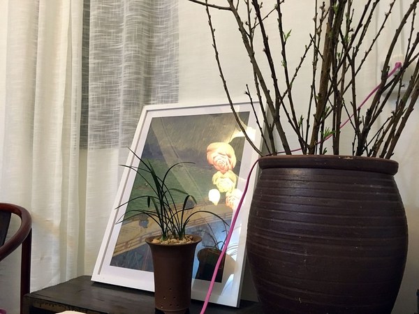 花最少的钱提升出租屋的逼格-38