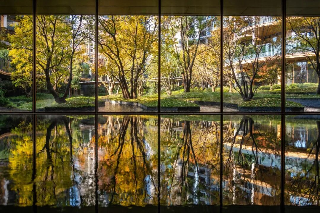 义乌澐璟丨中国金华丨gad杰地设计-6