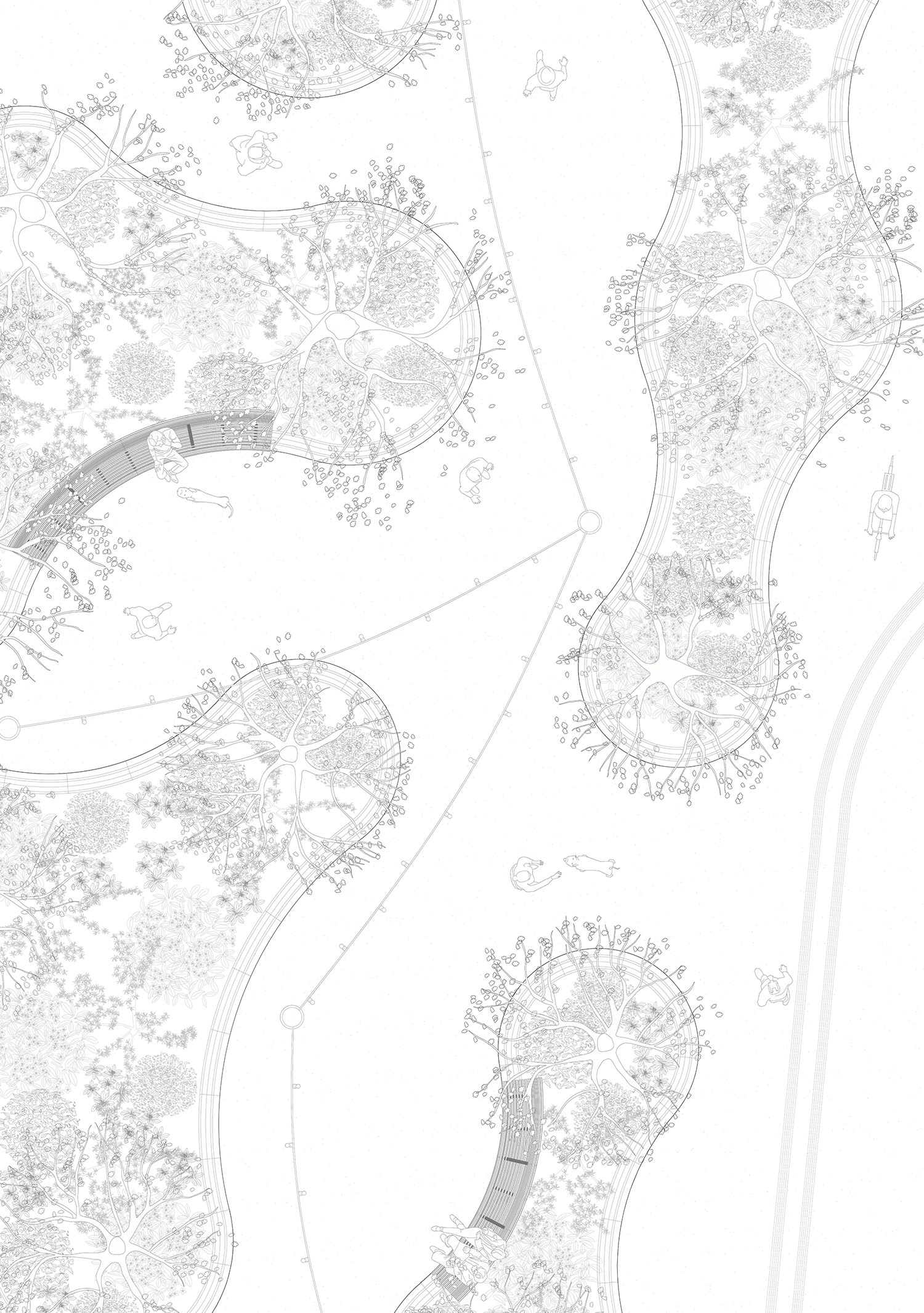 7000 Oaks 与城市生态共生的艺术设计-55