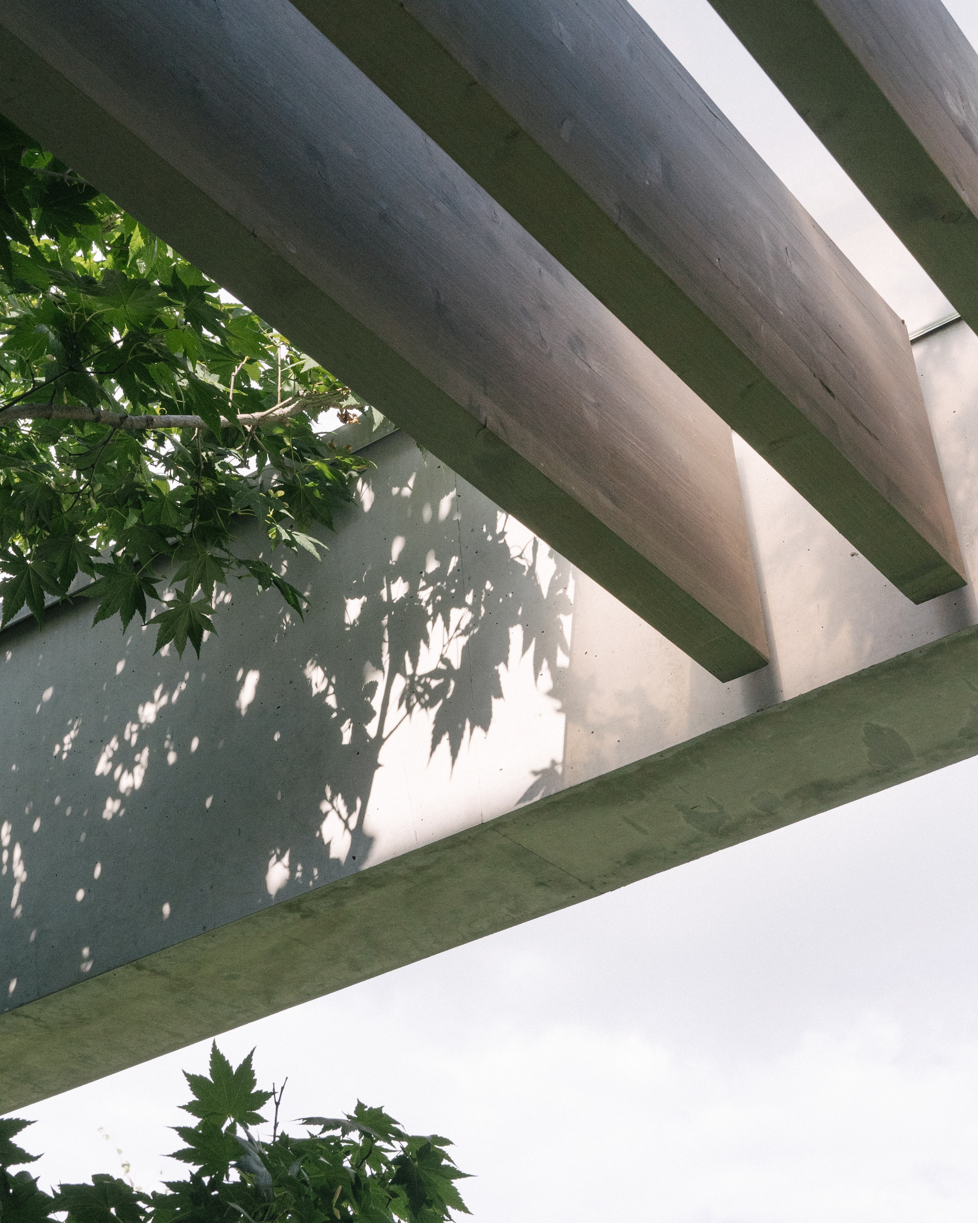 别墅丨意大利丨Didonè Comacchio Architects-46