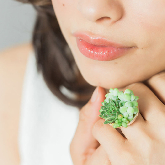 多肉植物的室内设计魅力-13