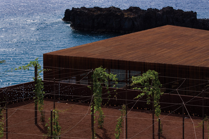 葡萄牙马德拉群岛 SALINAS 游泳池-3