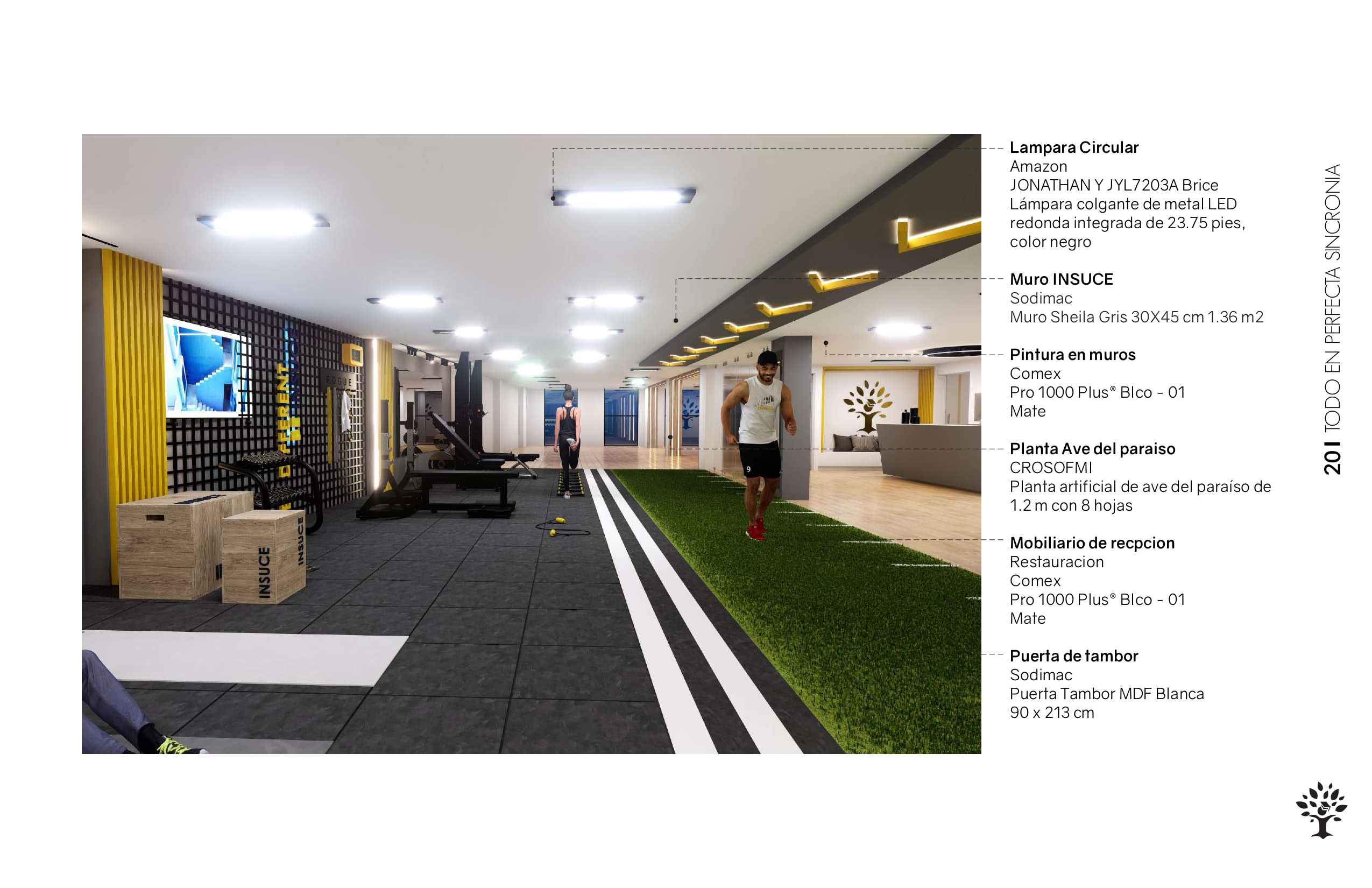 由于 Insuce 并非常见词汇，难以准确理解其含义，无法提供准确翻译 -21