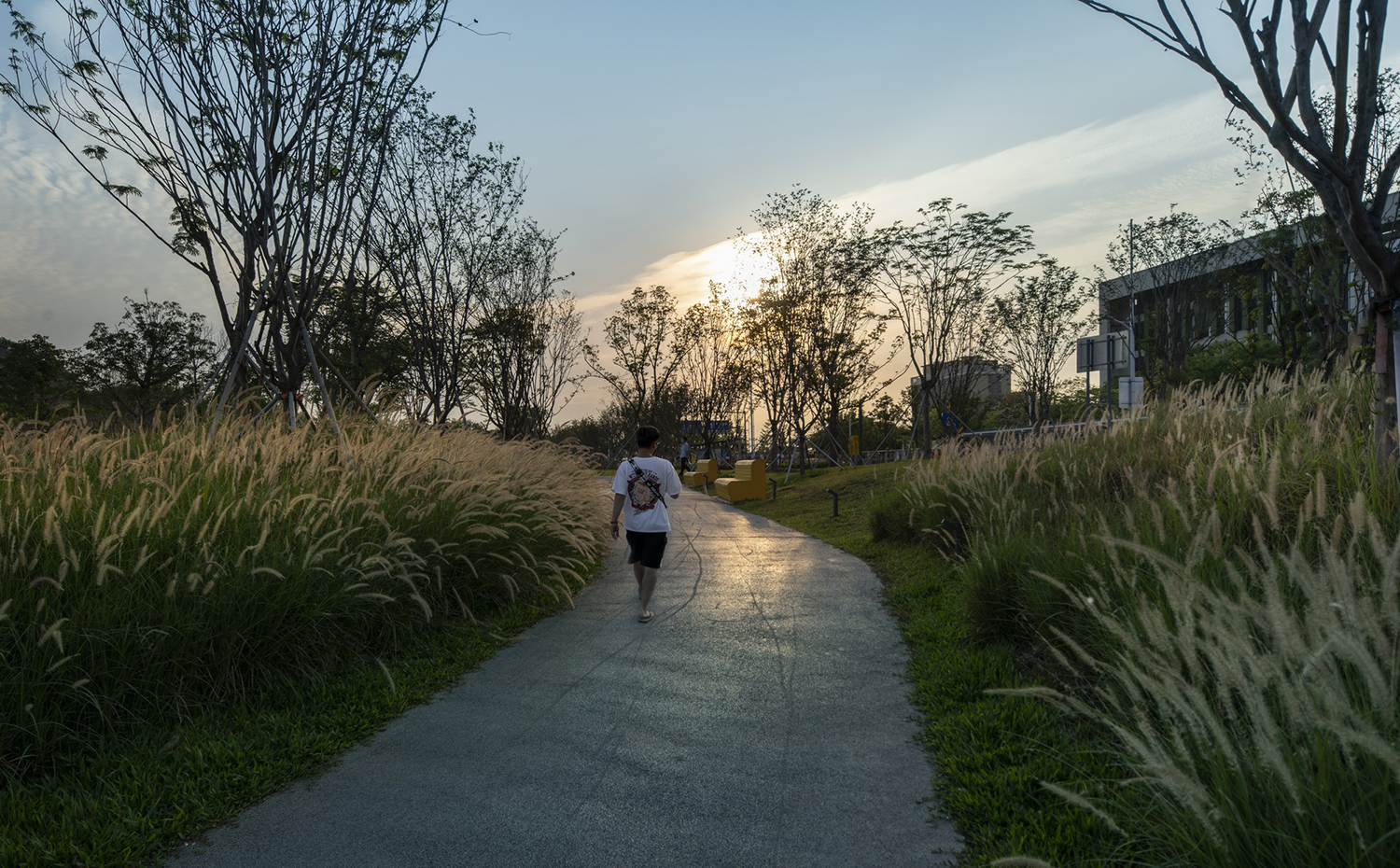 中山大学附属第七医院周边景观焕新项目丨中国深圳丨L&A Design（含多团队）-35