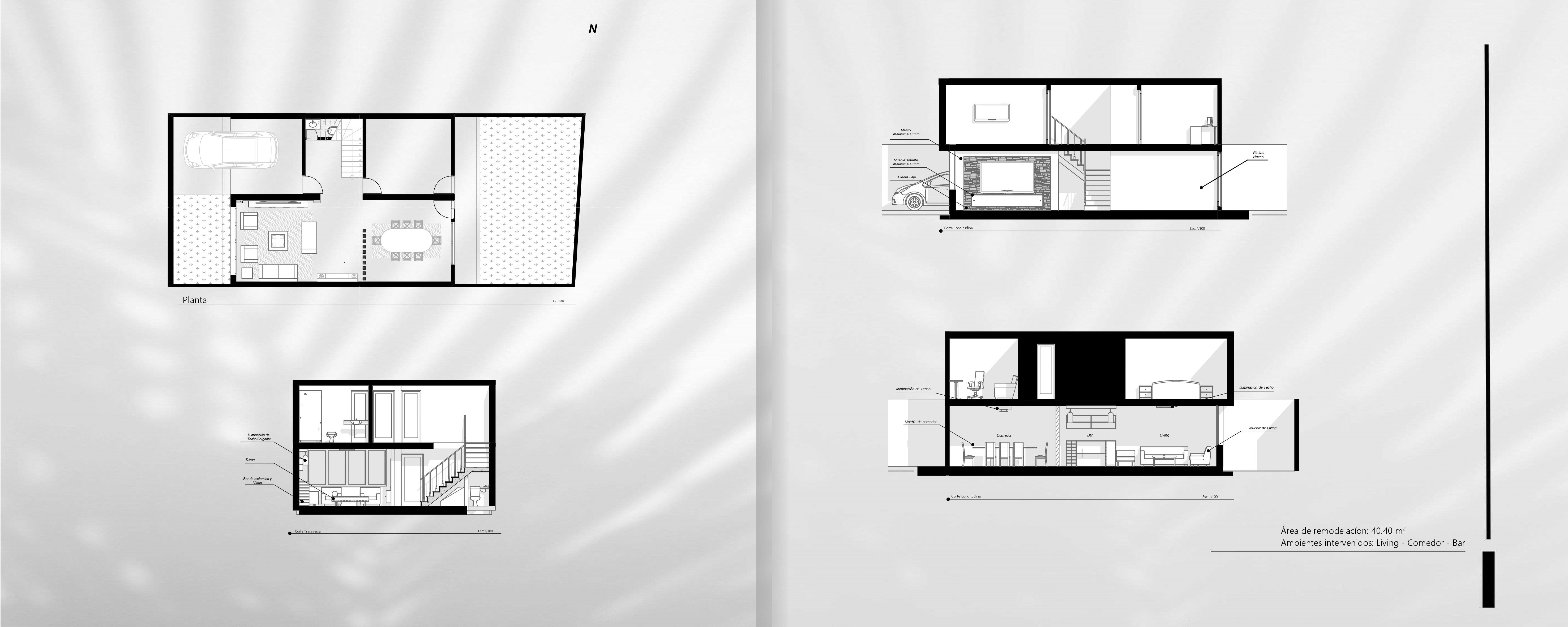 Remodelación-1