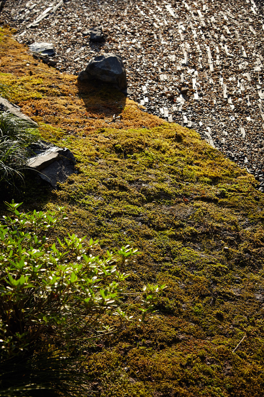 西国街道住宅,京都 / koyori + DATT-49