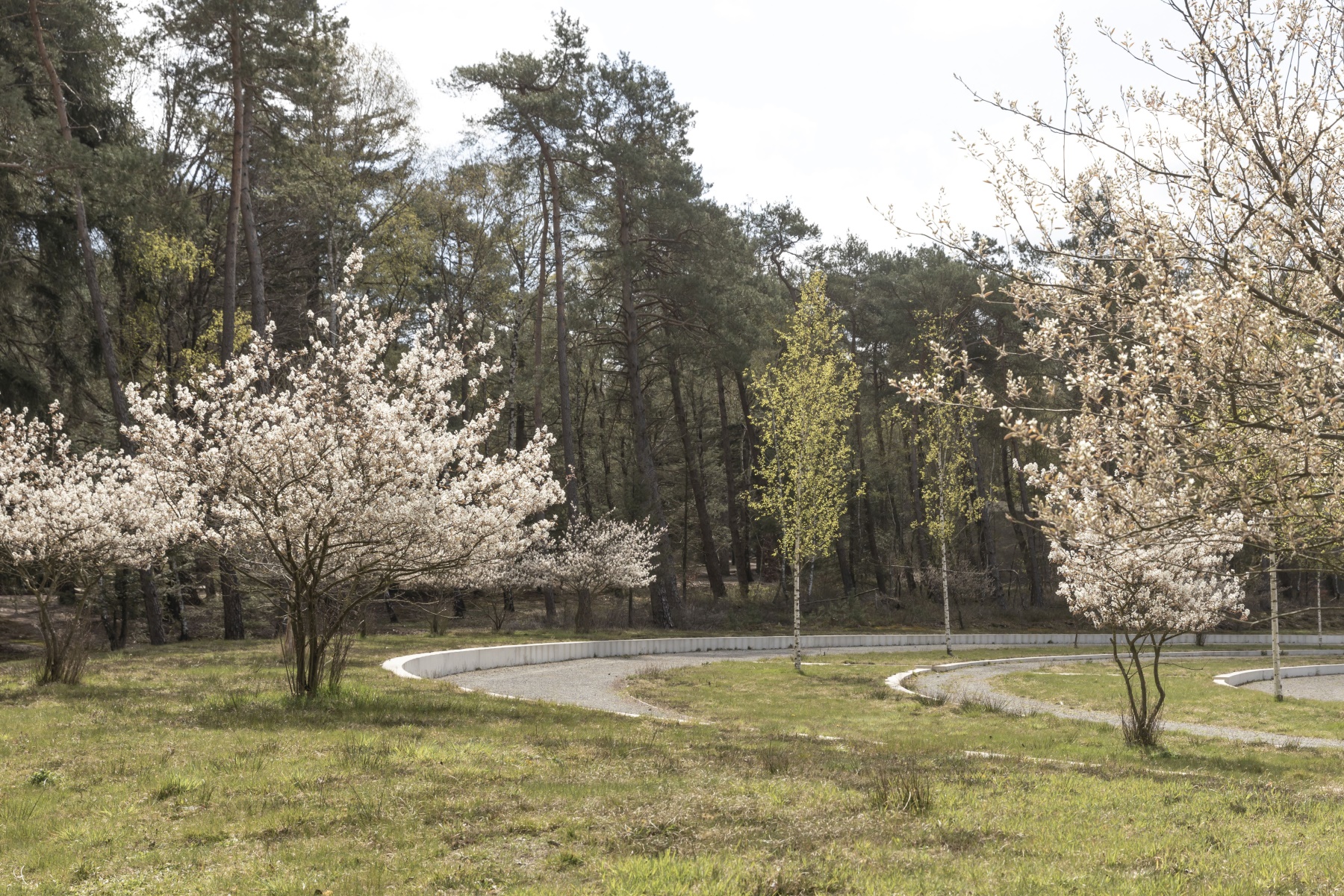 卢嫩纪念公墓扩建-21