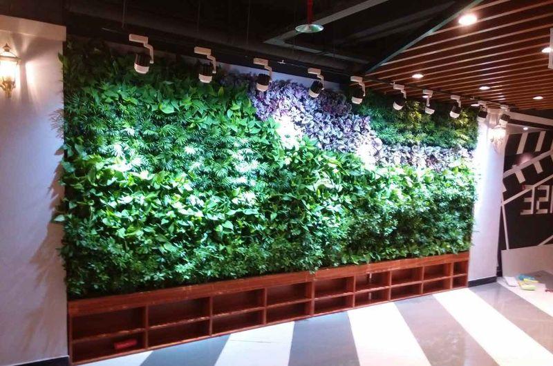 咸阳 MSE私享影院-植物墙-3