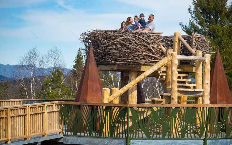 阿迪朗达克斯野生步道丨查尔斯·雷伊-30