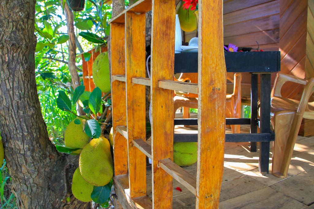 高架木屋Eco  Retreat住宿-17