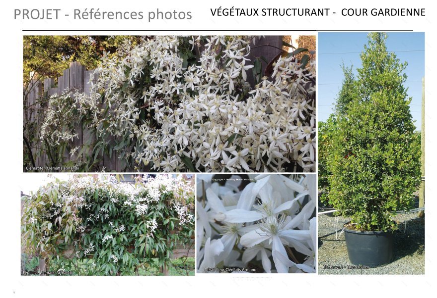 Neuilly Sur Seine某公寓入口景观设计项目-15