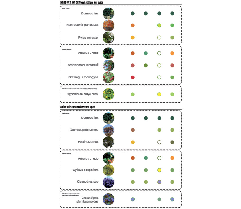 米兰垂直森林丨意大利米兰丨斯特凡诺·博埃里工作室-52