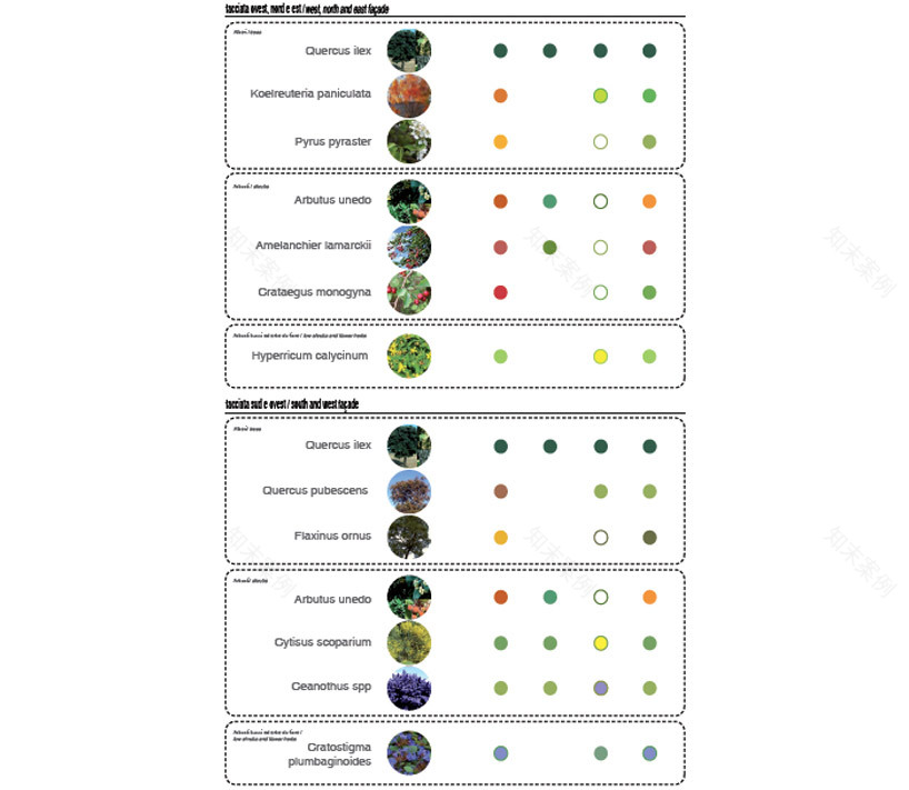 米兰垂直森林丨意大利米兰丨斯特凡诺·博埃里工作室-52
