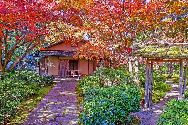 万博記念公園（日本庭園・自然文化園）丨安哥拉万博-31