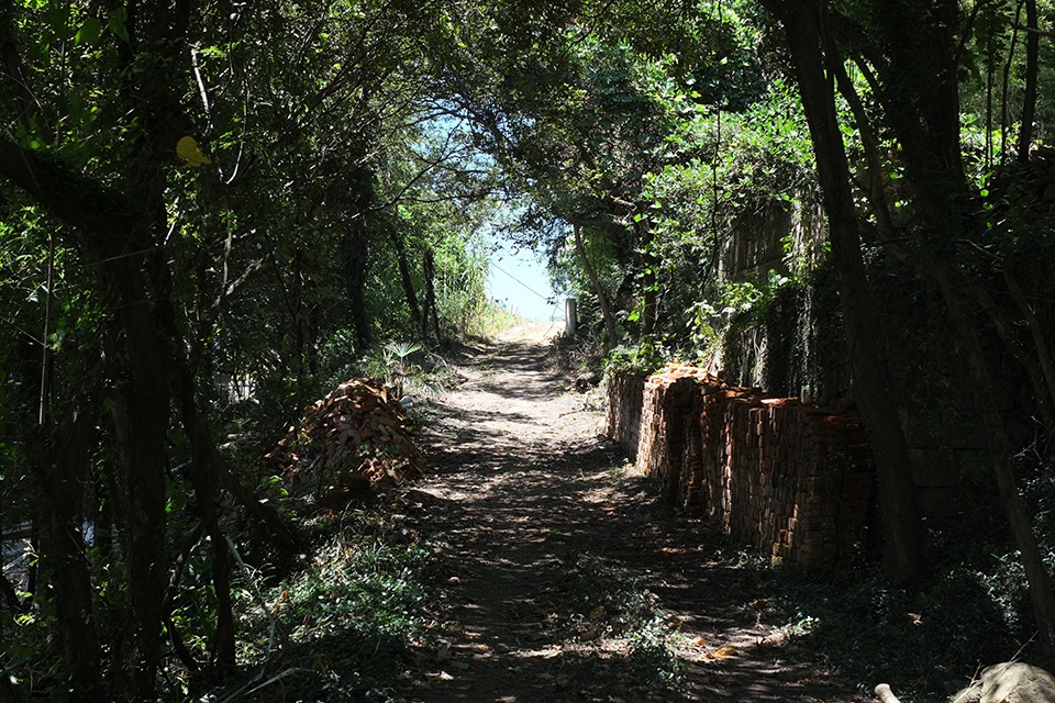 山林间的蝶翼建筑 · 定海台房丨中国舟山丨久舍营造工作室-13