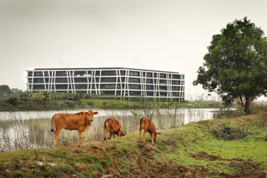 混凝土蕾丝 · 越南高科技园区的绿色办公楼-3