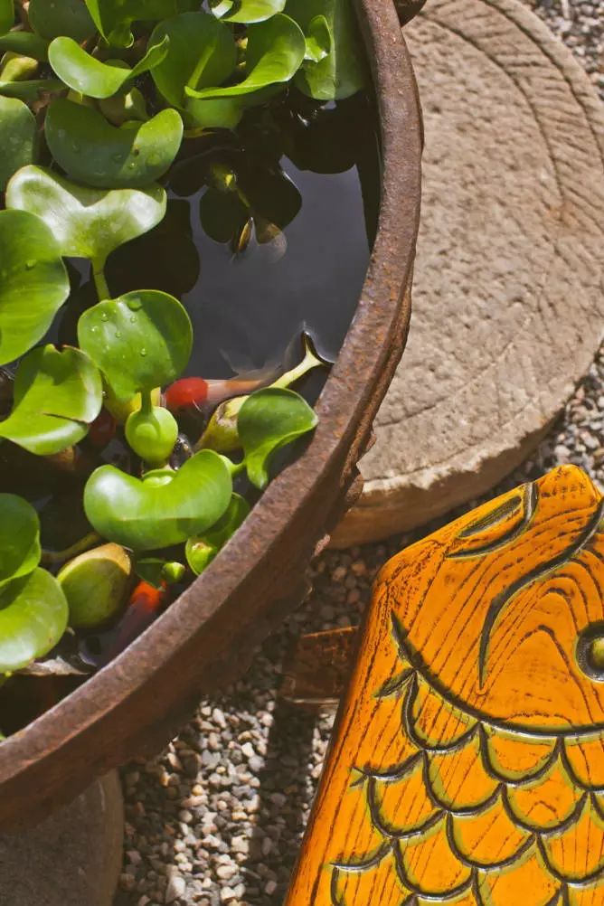 院子改造这样才叫美，配上老砖墙，更带感!-24