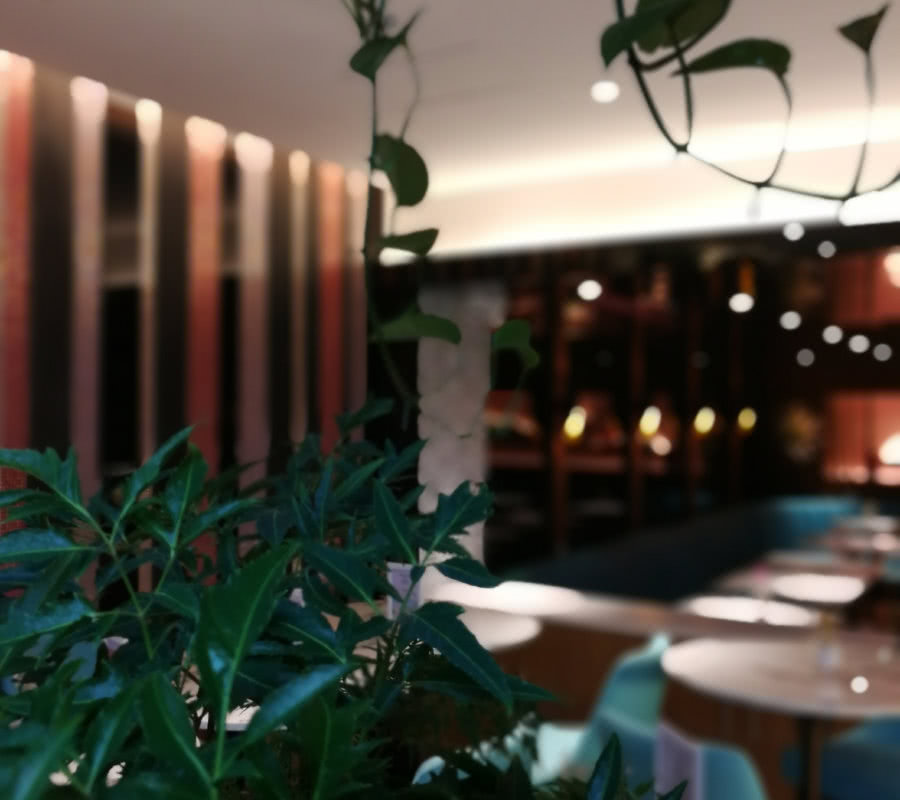 PINKMAMA餐厅 | 芥子须弥中的自然美学空间-7