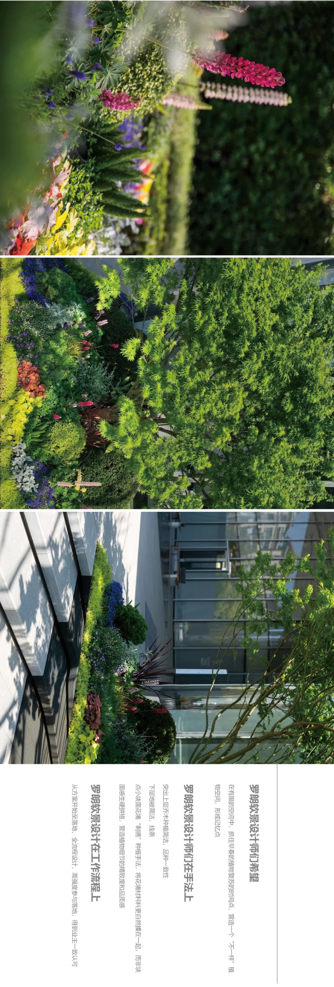 宁波三里江印丨中国宁波丨LAURENT 罗朗景观-20