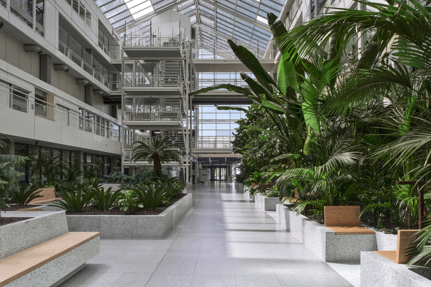 戴克兰德医院复兴丨荷兰-16