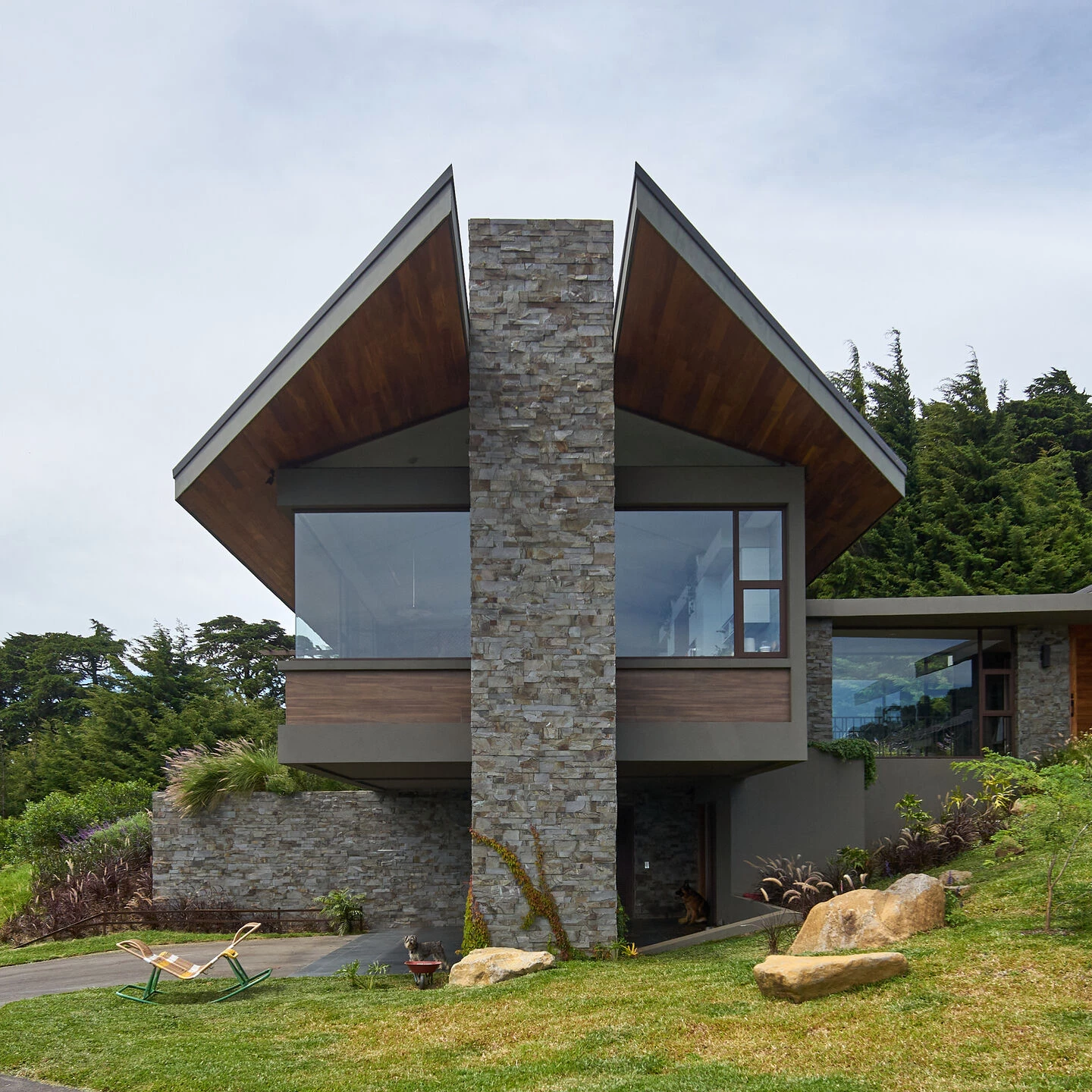 M 庄园丨哥斯达黎加丨ICESA-5