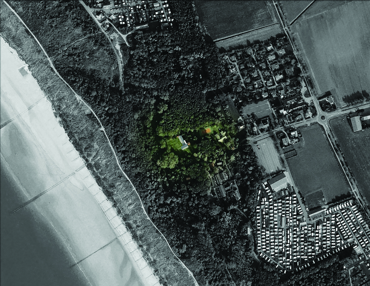 森林中的房屋-32