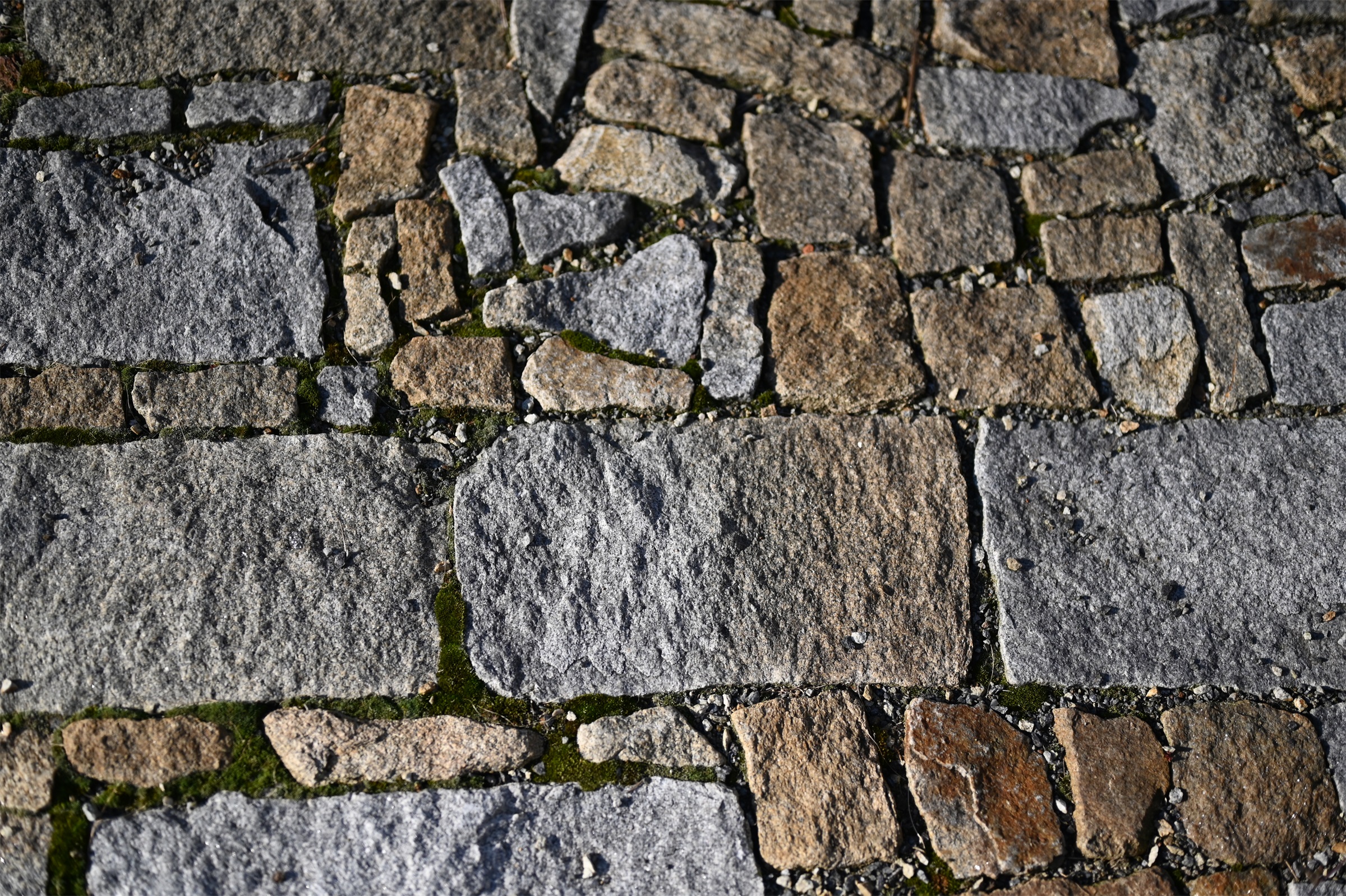 以花园为画布，私家花园设计丨捷克丨Atelier Parter-21