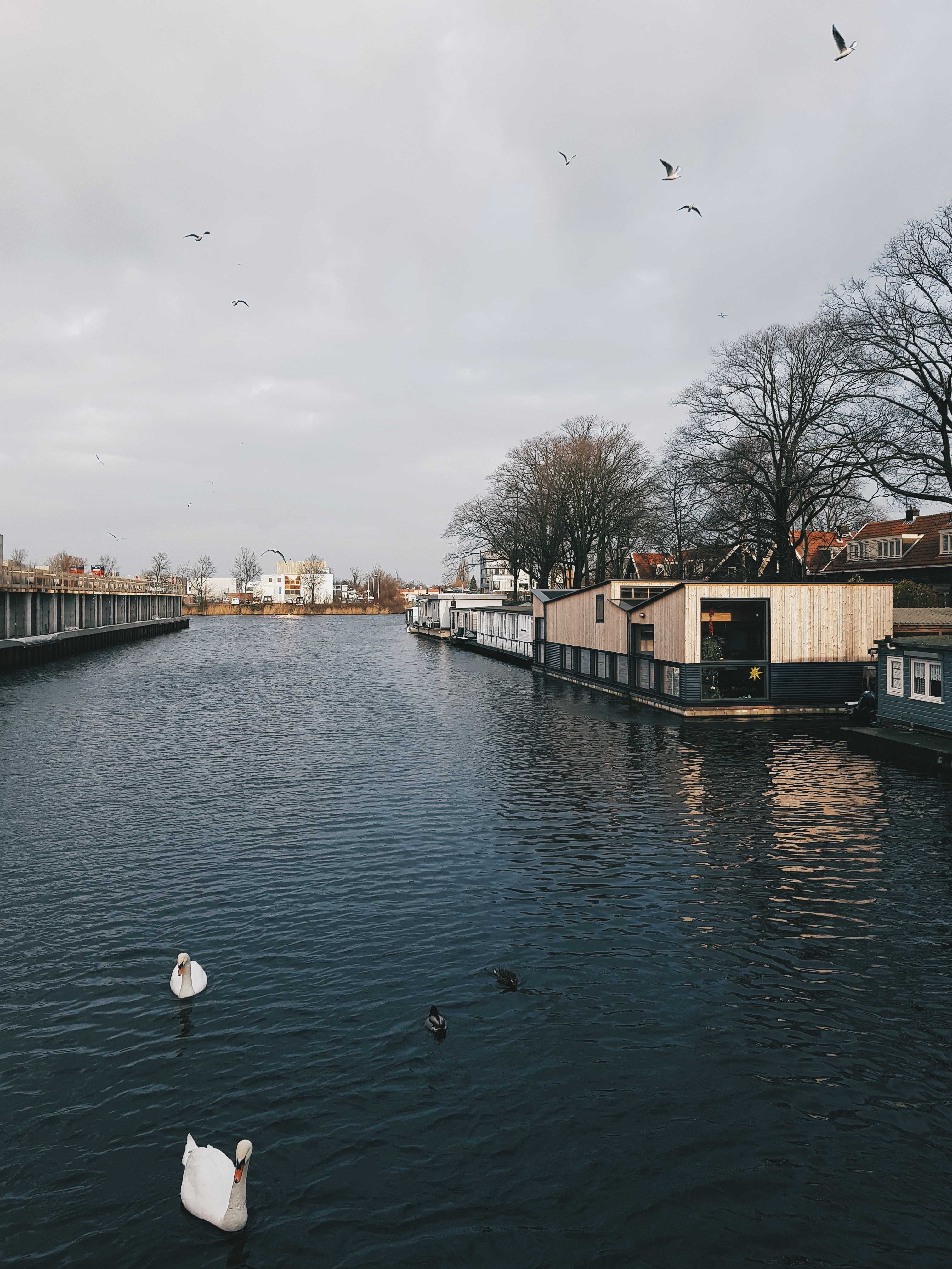阿姆斯特丹"波"住宅 | 室内设计中的波浪元素与空间利用-15