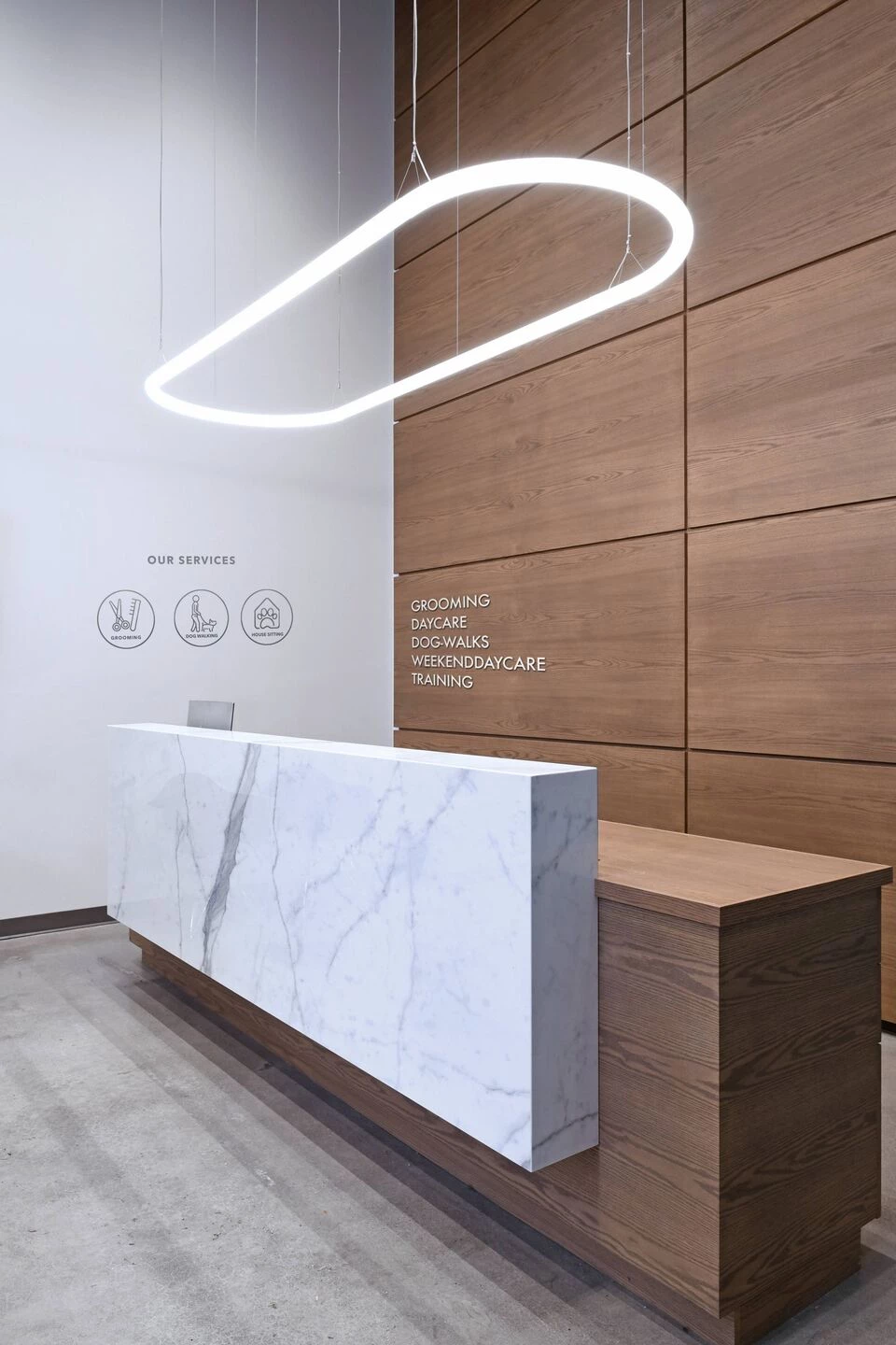 Park Lawn Dog Daycare-5