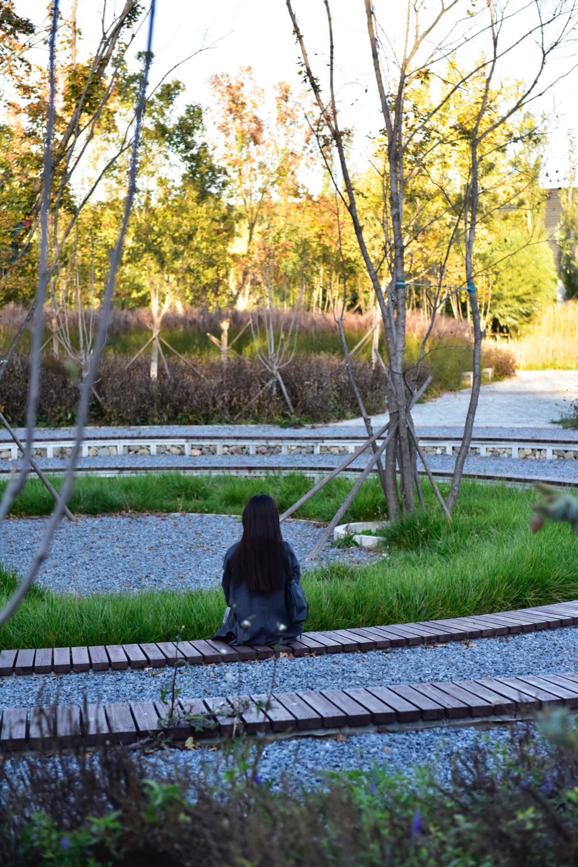 饮鹿池公园丨中国北京丨北京林业大学风景园林规划设计研究院+山水和泓+原筑景观-63