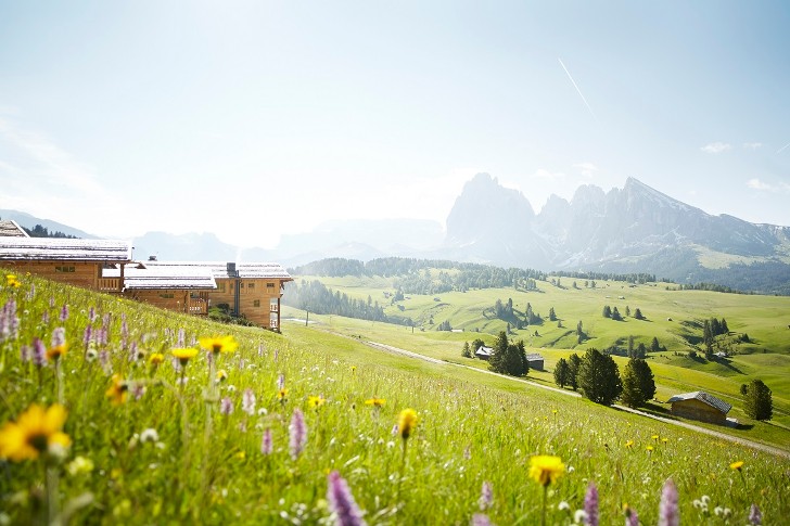 远离喧嚣的 Dolomites 木质酒店-2