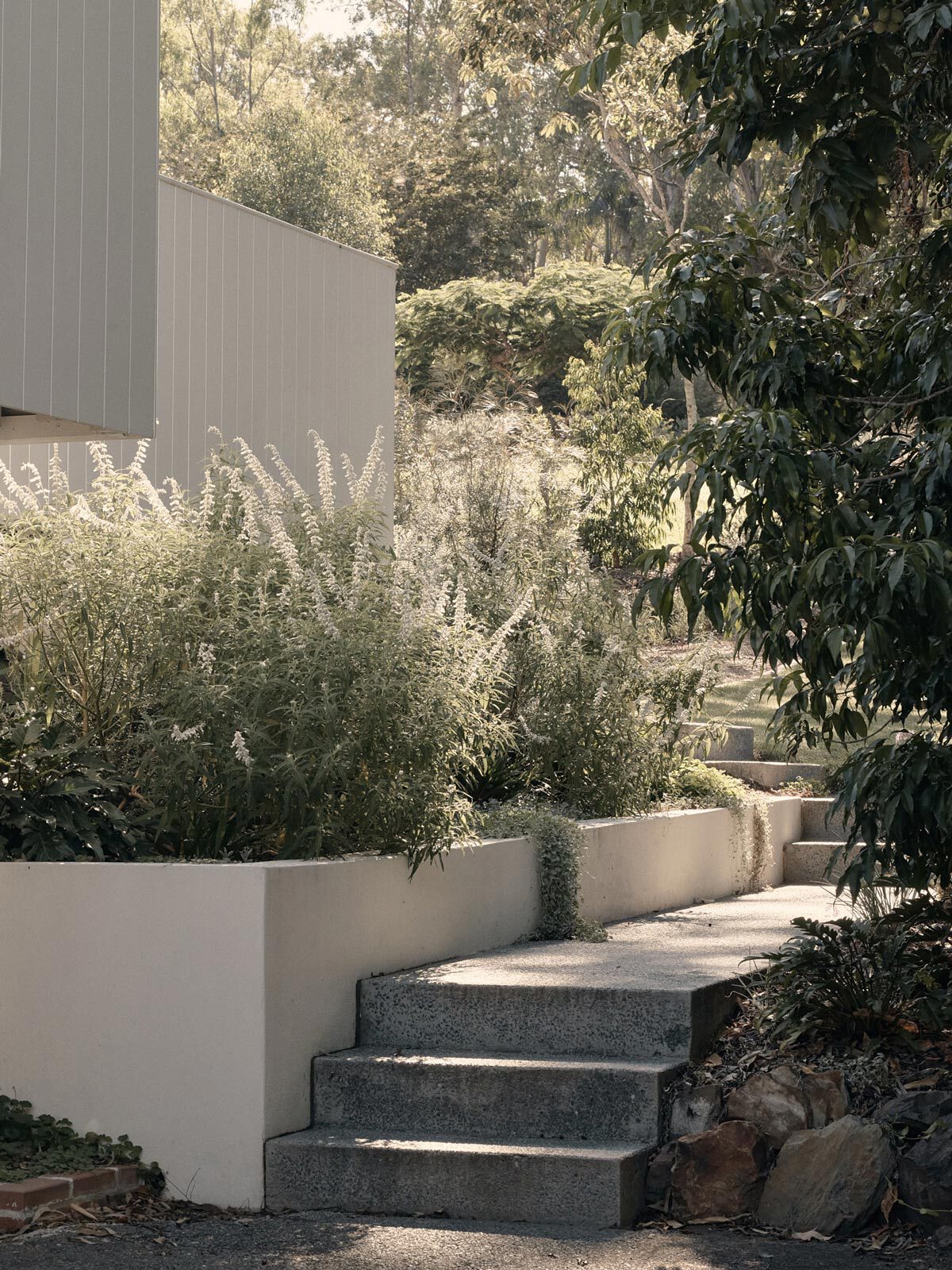 平贾拉山住宅丨澳大利亚布里斯班丨Sullivan Skinner-37