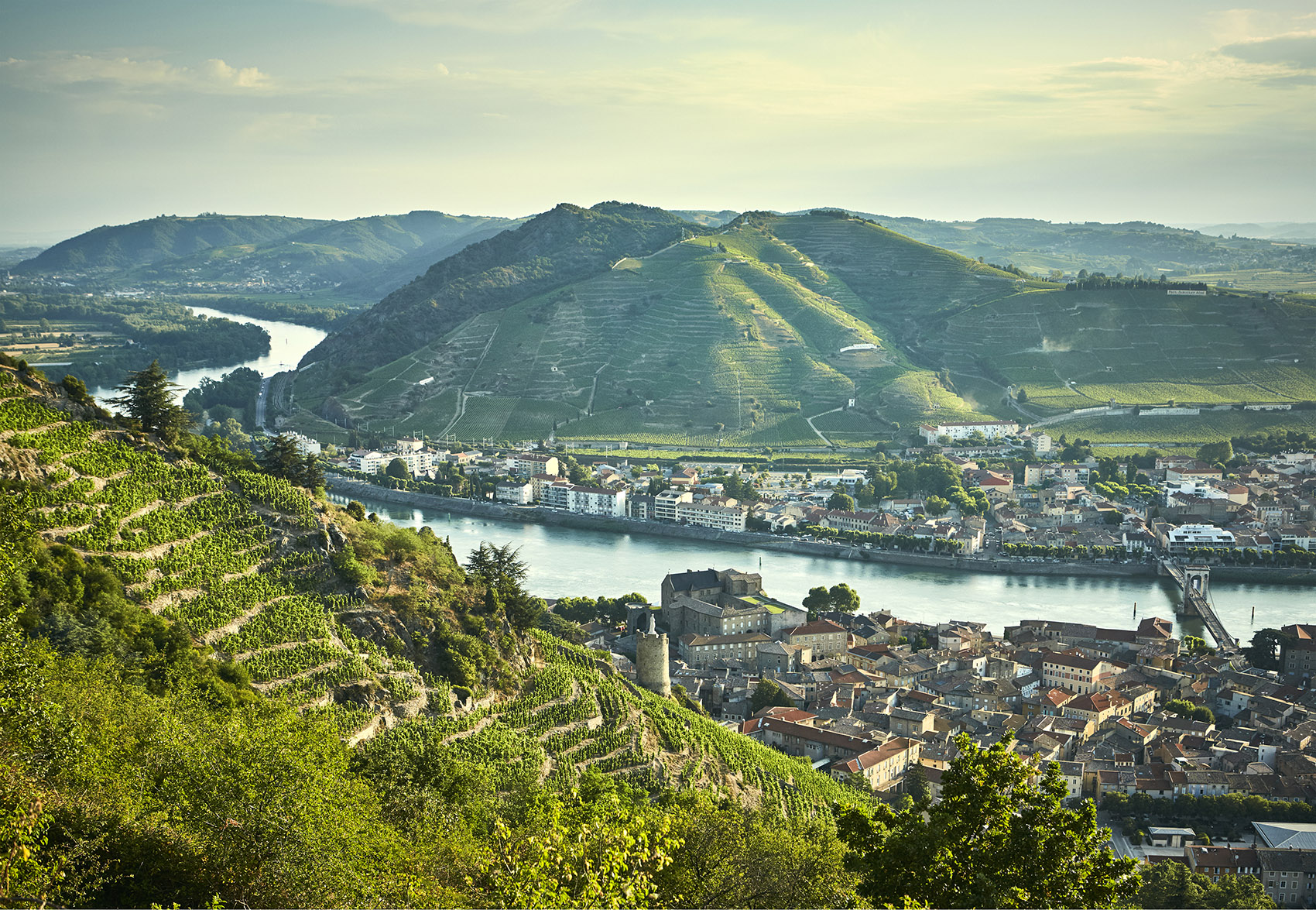 Delas Frères酒庄,法国 / Carl Fredrik Svenstedt Architects-3