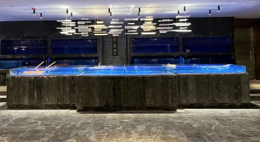 OE丨东方美韵 · 寻梦游园-珍之宝御品-44