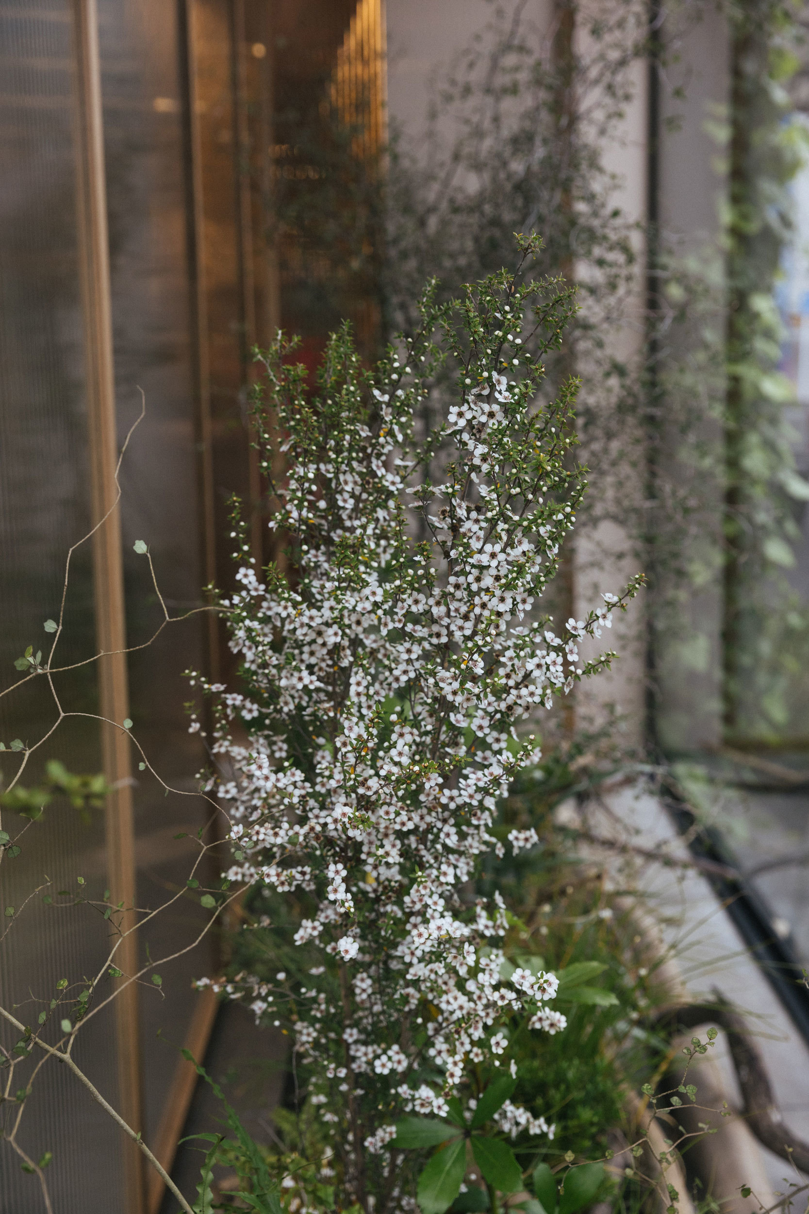 Maggie Marilyn - Xanthe White Design-4