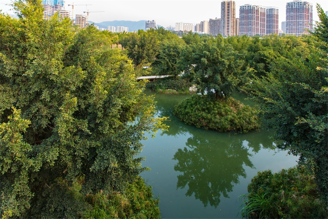 西安雁南公园（二期）丨中国西安丨土人设计（Turenscape）-212