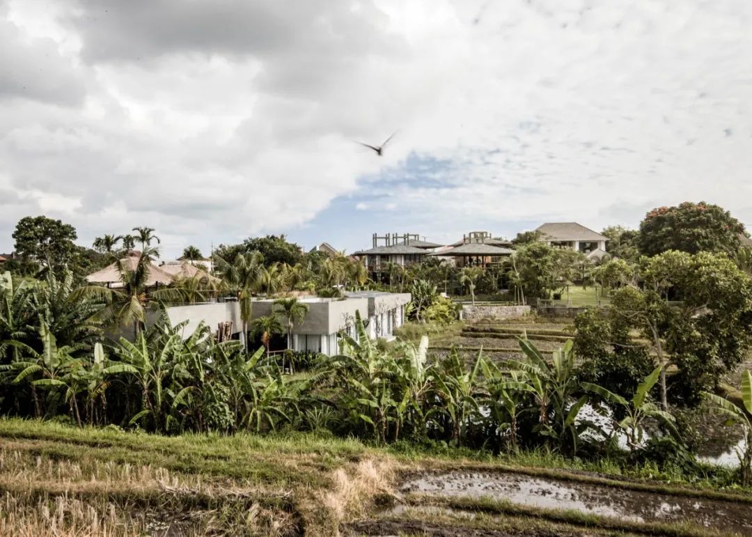 717 m²巴厘岛平房民宿-32