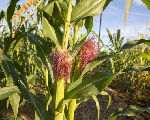 丨美国哥伦布丨MASS Design Group-25