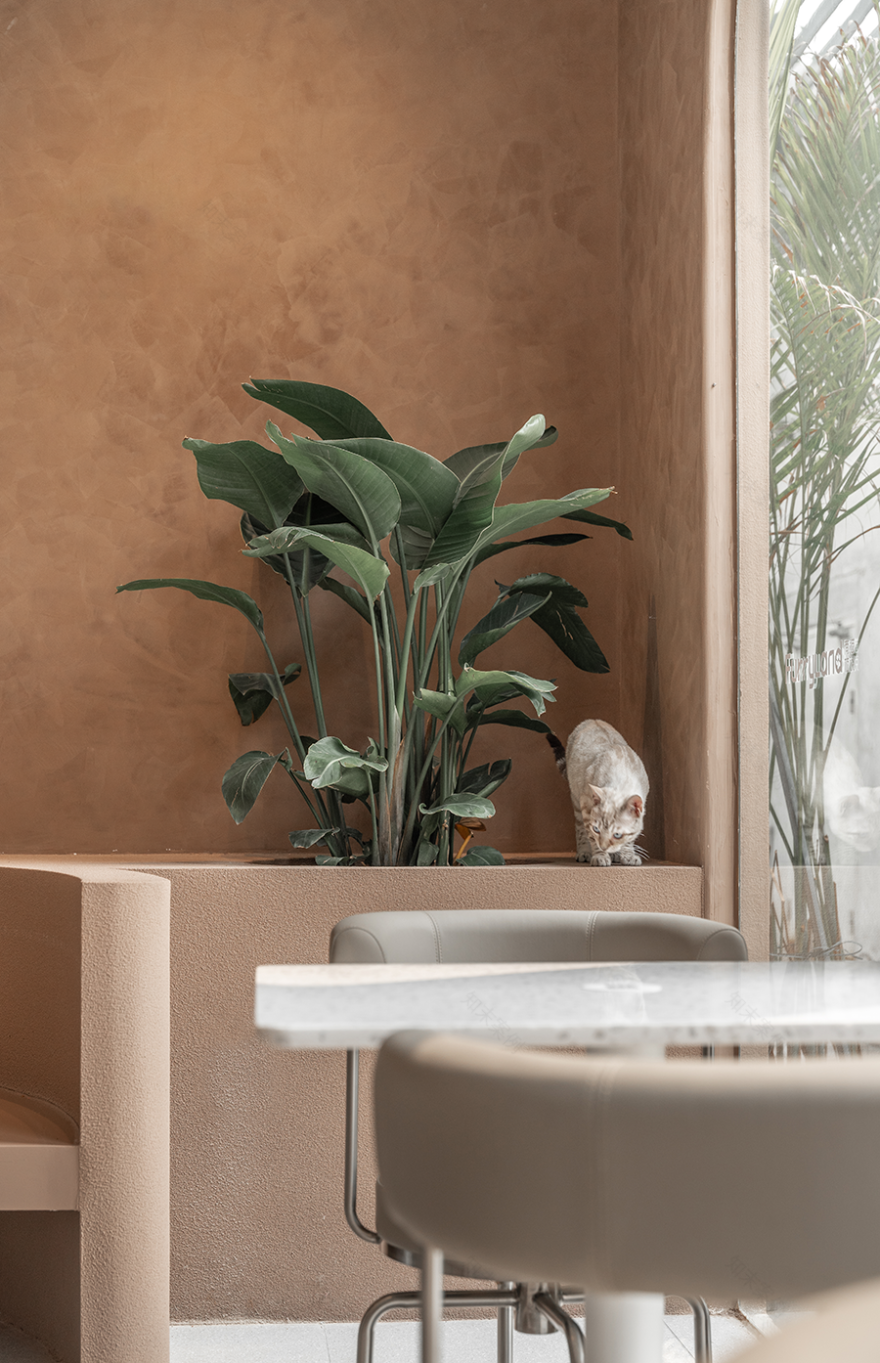 猫植说创意餐厅丨TTD 设计-41