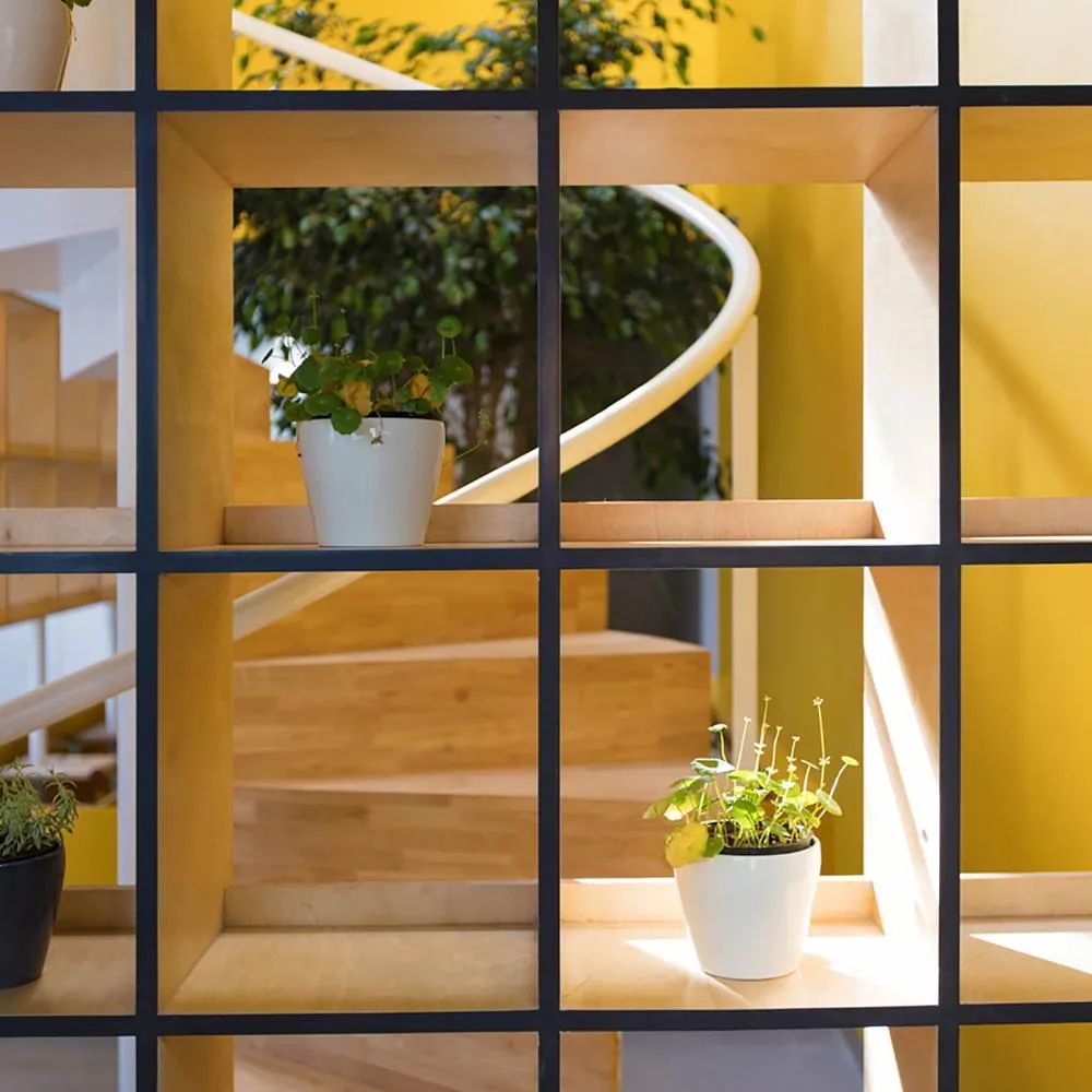 班加罗尔 Prakash N & Co 办公室丨印度班加罗尔丨BARE.PINEAPPLE-20