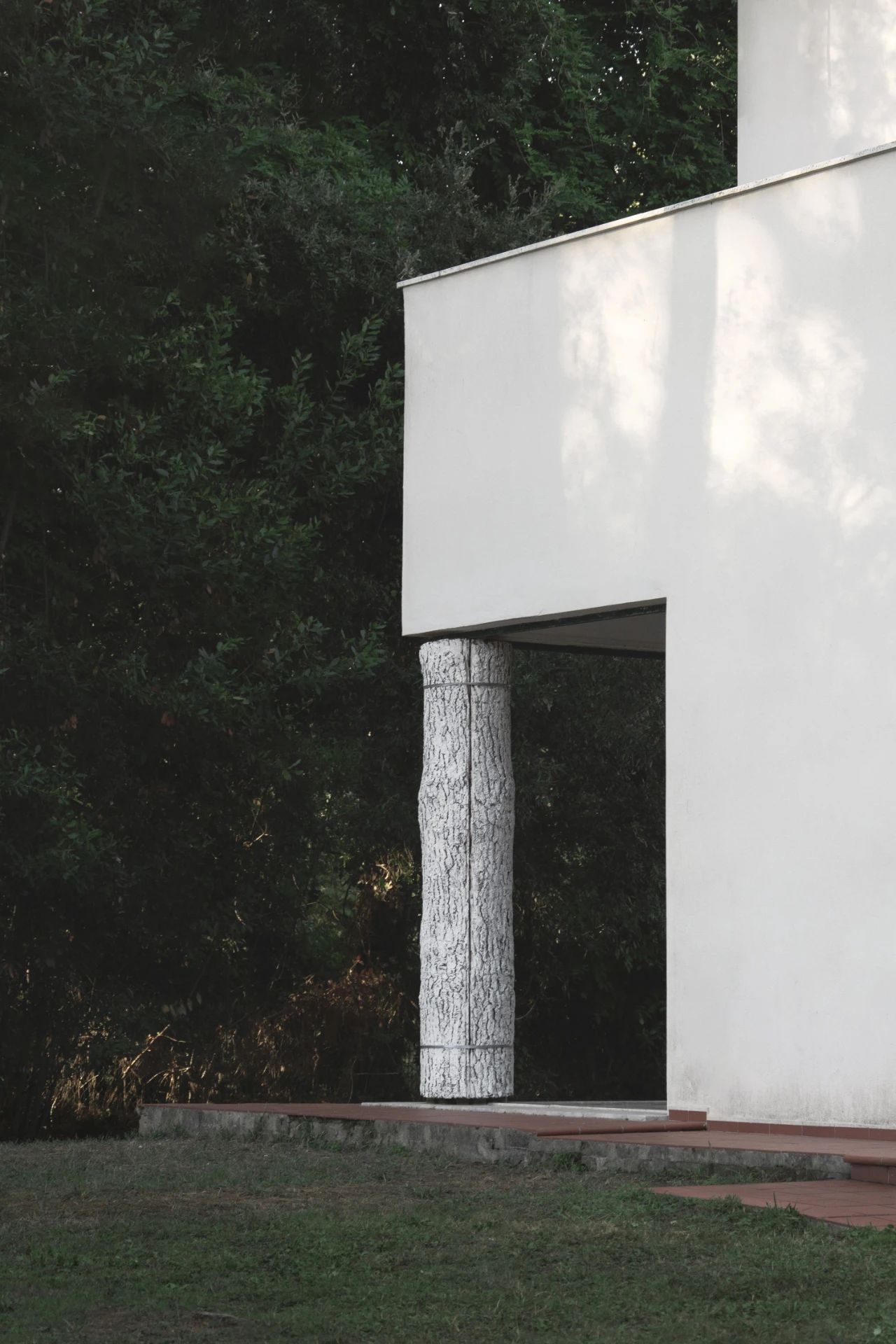 亭子丨澳大利亚丨Wolveridge Architects-54