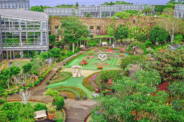 热带梦幻中心（海洋博公园内）丨日本冲绳-43