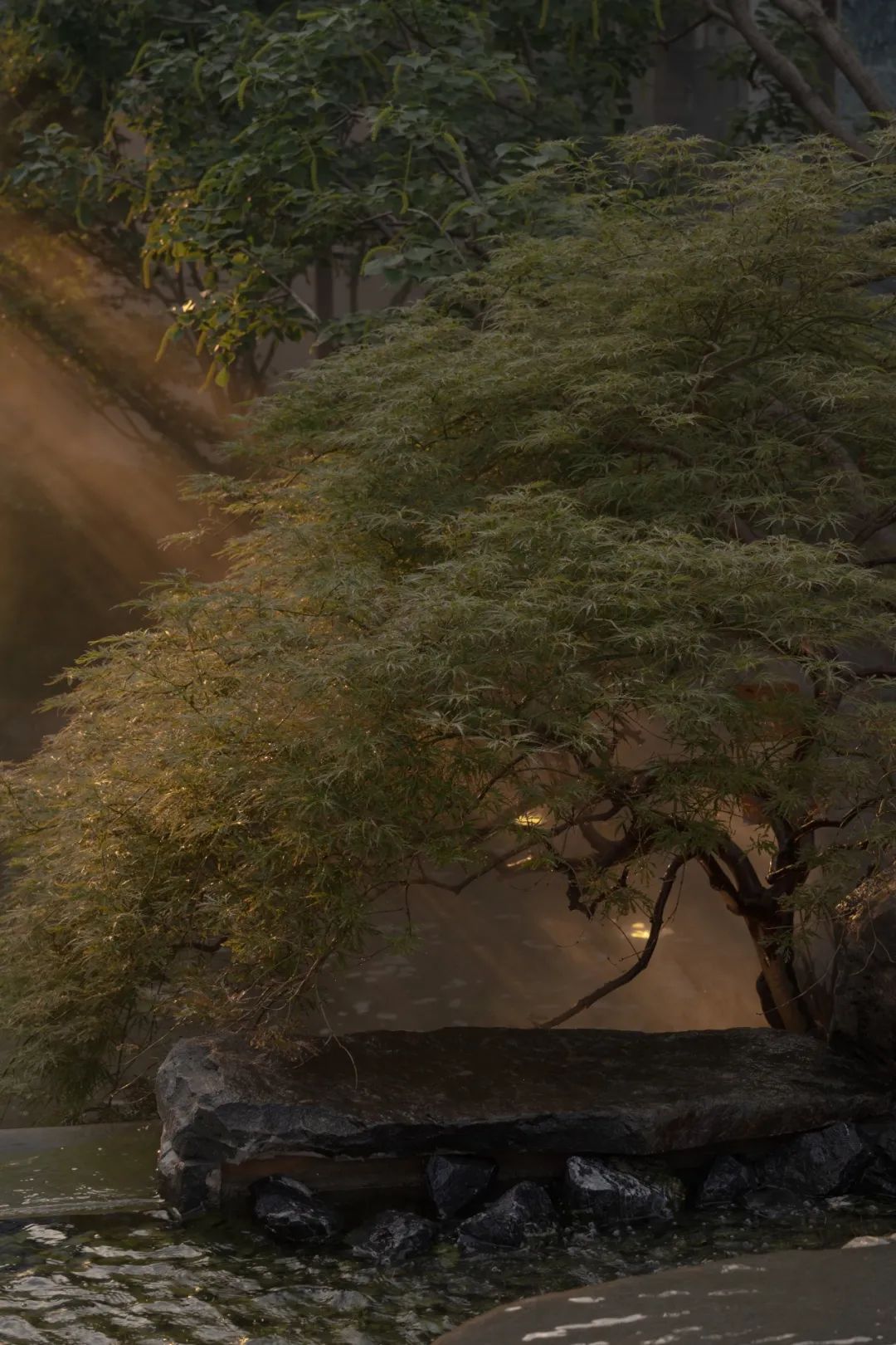 外呈中正之礼内显天然雅趣|未来中心C2·揽境-57