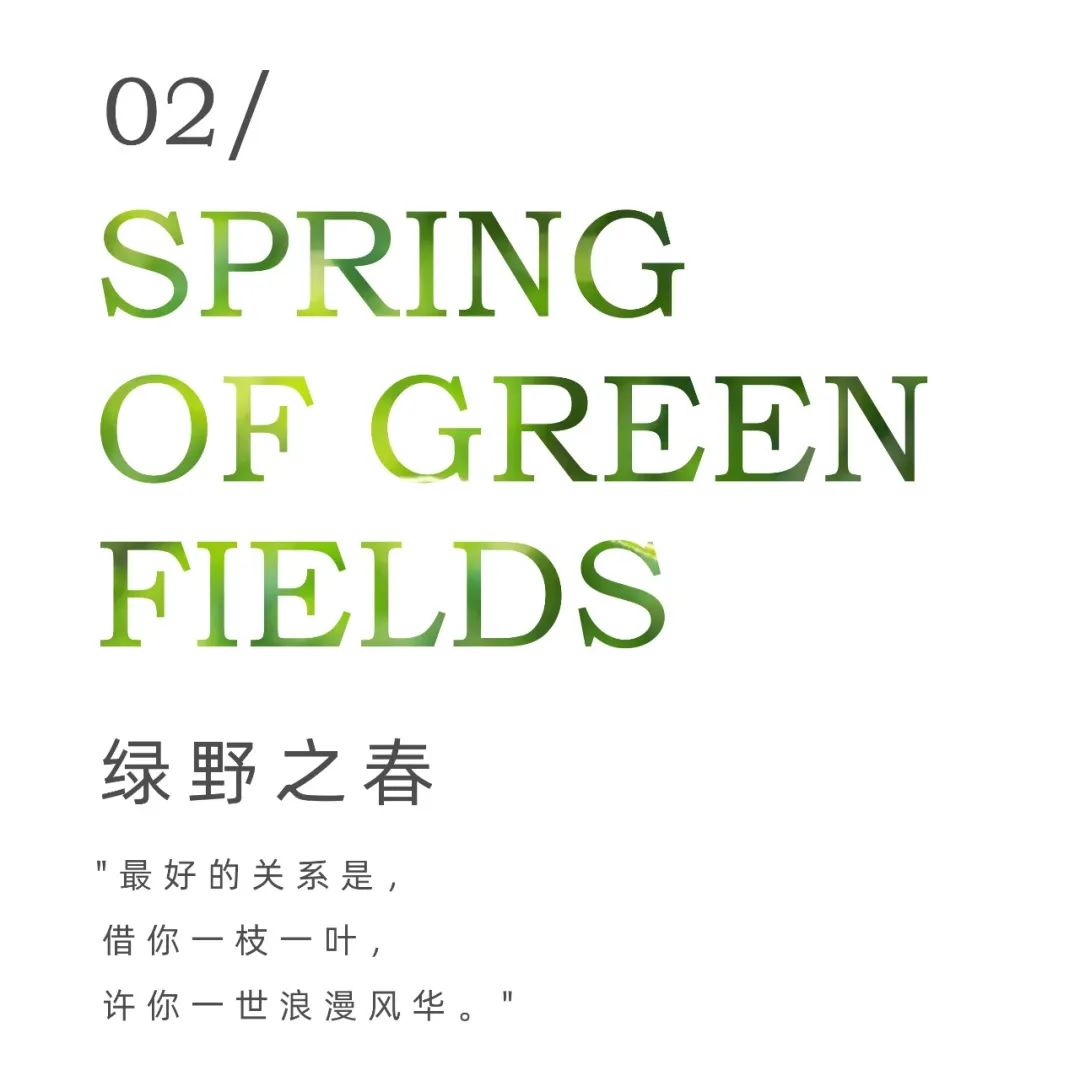 中建东孚春合境明丨中国上海丨赛拉维设计CLV.DESIGN-22