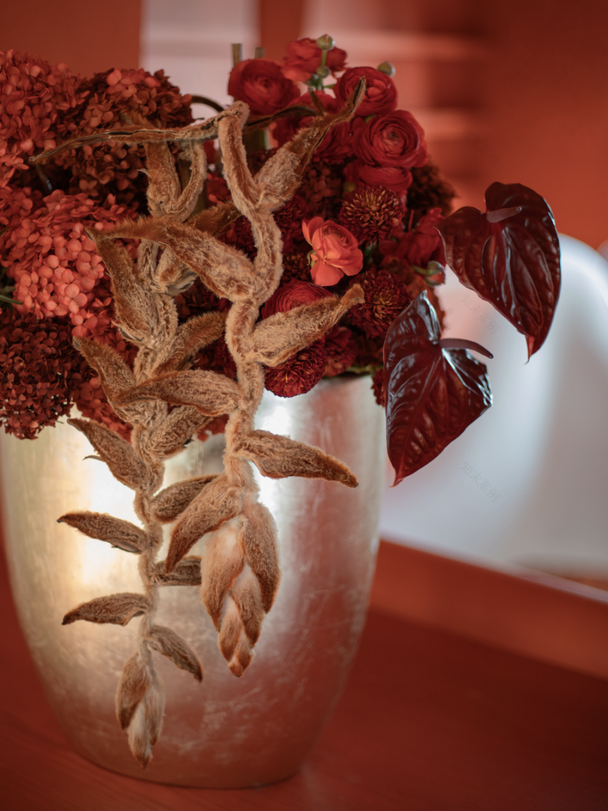 红色爆烈美学,西安大女主给自己的生活独奏剧场-38