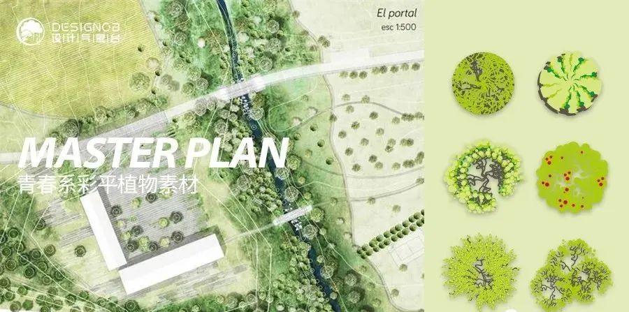 青春系彩平植物素材-7